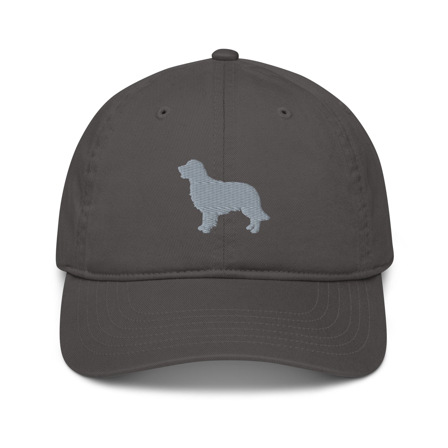 Rigby's Organic dad hat