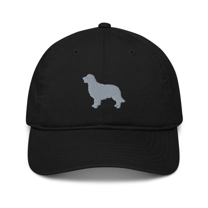 Rigby's Organic dad hat